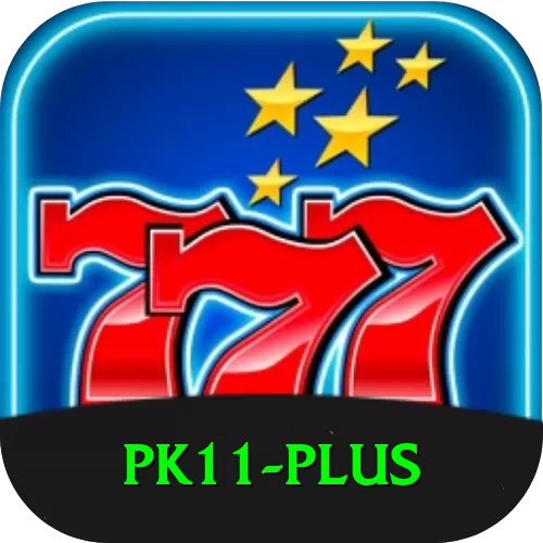 pk11 Mega Casino App - 2